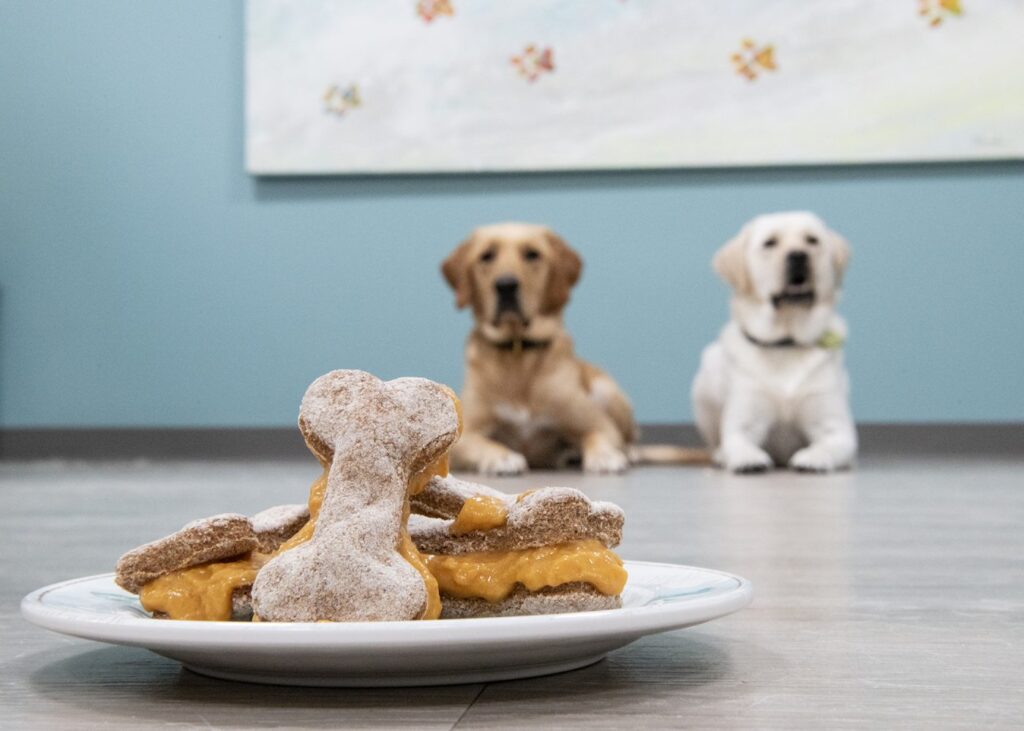 Homemade dog-friendly ice cream sandwiches on a while plate.