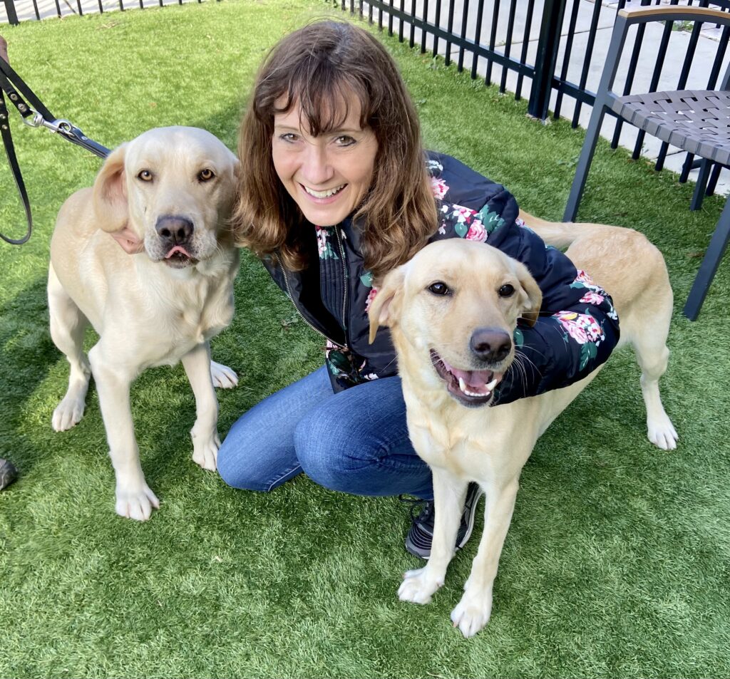 A women kneels and smiles with two yellow labs