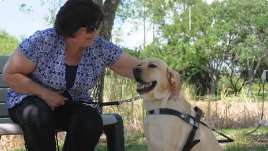 Woman sits on a bench and pets yellow lab guide dogs head