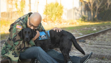 Man wears military jacket and sits on railroad track while he hugs and kisses black lab service dog