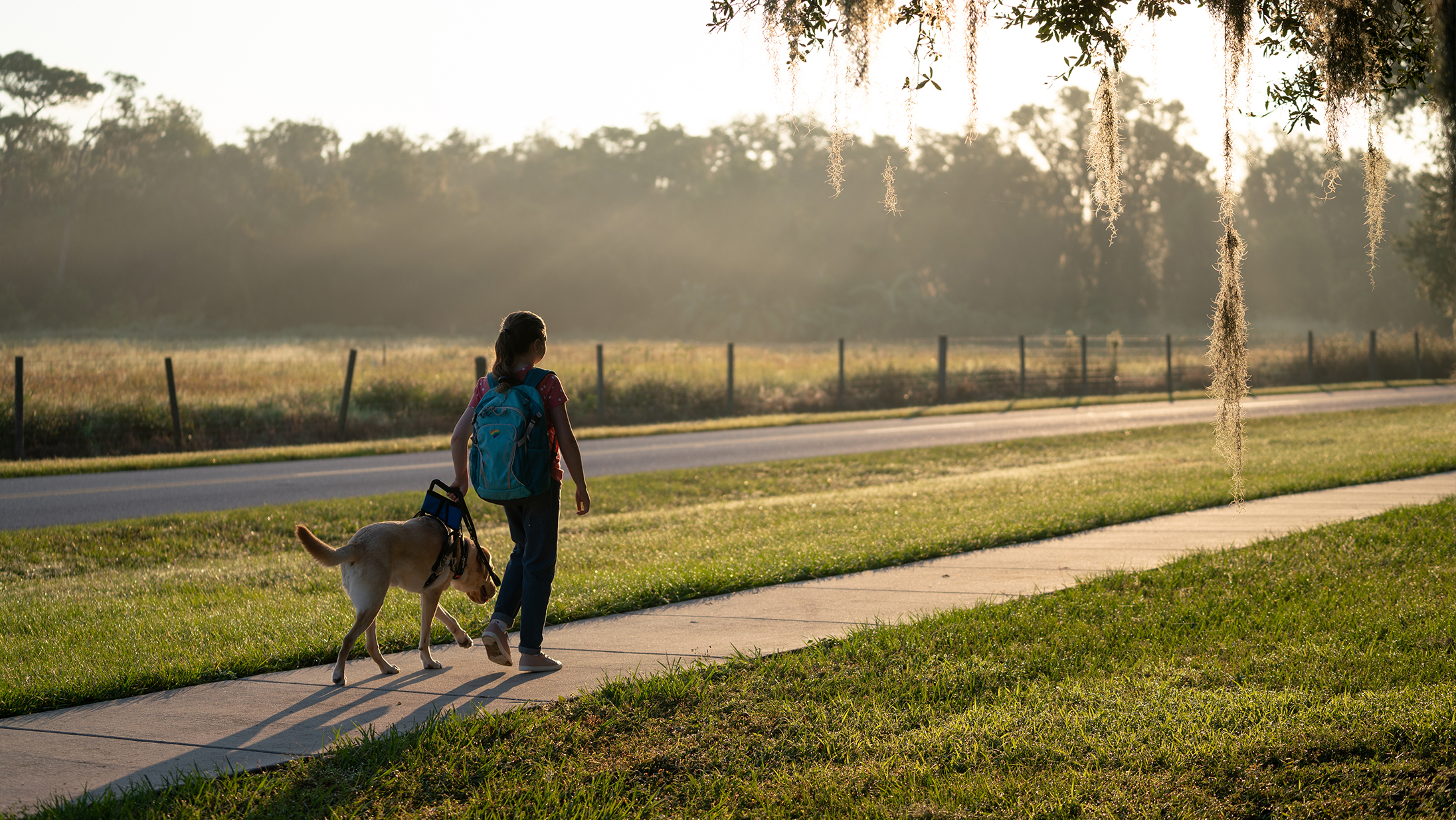 A young girl walks off into the distance with her guide dog