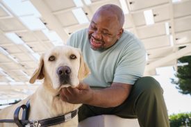 Man leans over and smiles a yellow guide dog who is looking at the camera