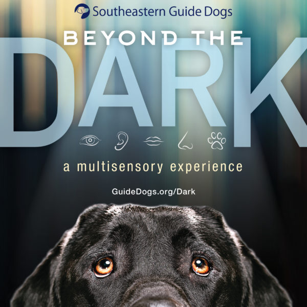 Text: Beyond the Dark with black lab looking up at text