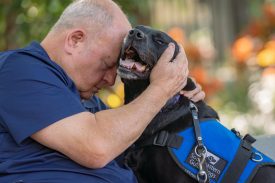 Veteran sits on bench and hugs black lab service dog