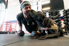 Man doing pushups with service dog laying next to him gives kiss