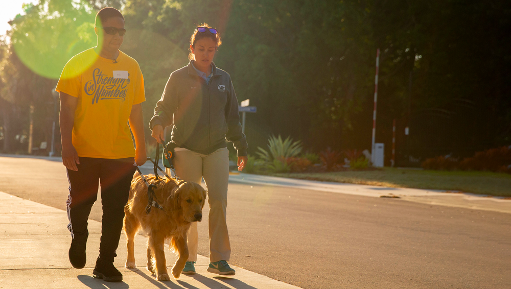 Teen boy walks with golden retriever in harness as the trainer walks next to them