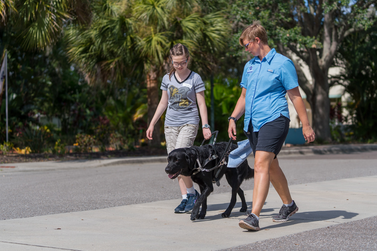Teen girl walks with black guide dog in harness along a sidewalk with trainer walking next to them