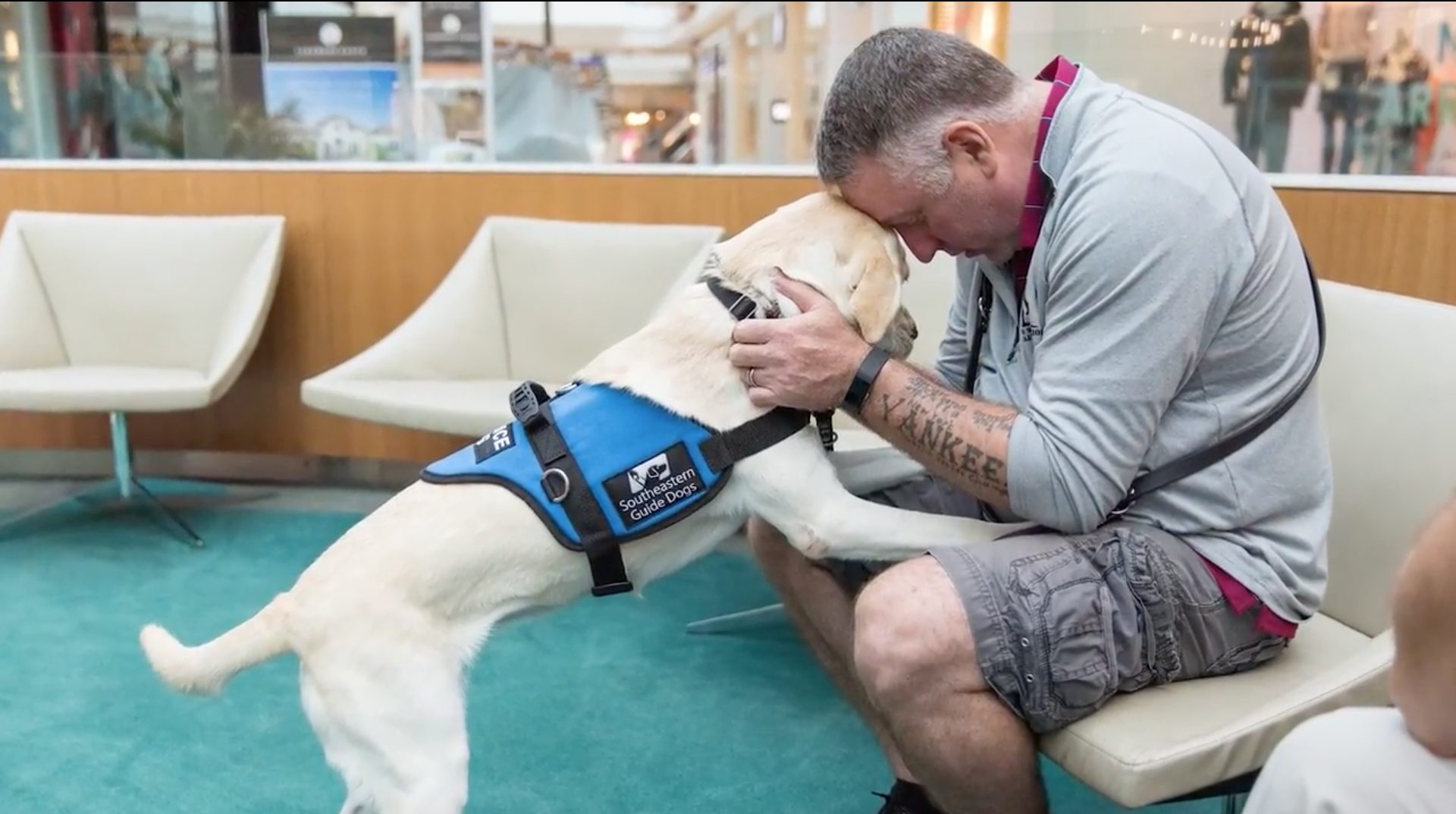 Ptsd dogs near sales me