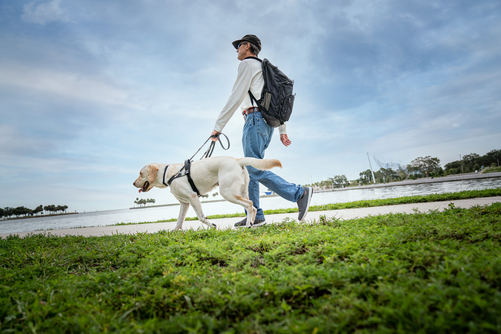 Man walking with yellow lab guide dog
