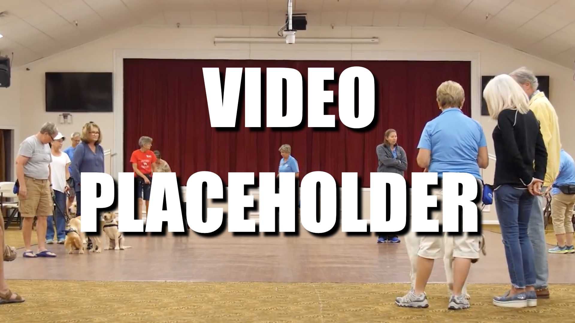 Text: Video Placeholder, people stand around