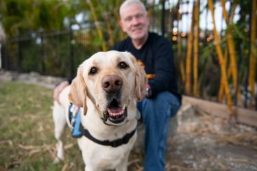 Service dog stands and looks at camera with blurred out veteran in the back