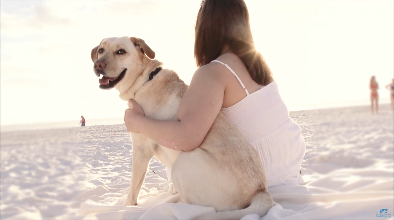 A girl places her arm around her guide dog as they sit on the beach