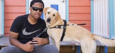 Teen boy sits on step with yellow guide in harness stand on step next to him