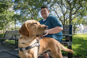 A yellow lab looks off into the distance as his handle sits behind him smiling
