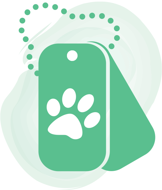 Two green dog tags overlap with a paw in the middle of the front dog tag