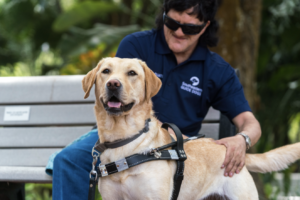 A guide dog stands out in front of it's handler as he pets her back