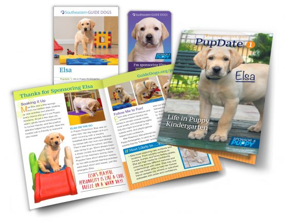 Sponsor a puppy flyers overlap one another
