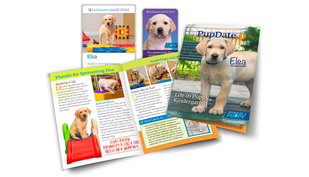 Sponsor a puppy flyers overlap one another