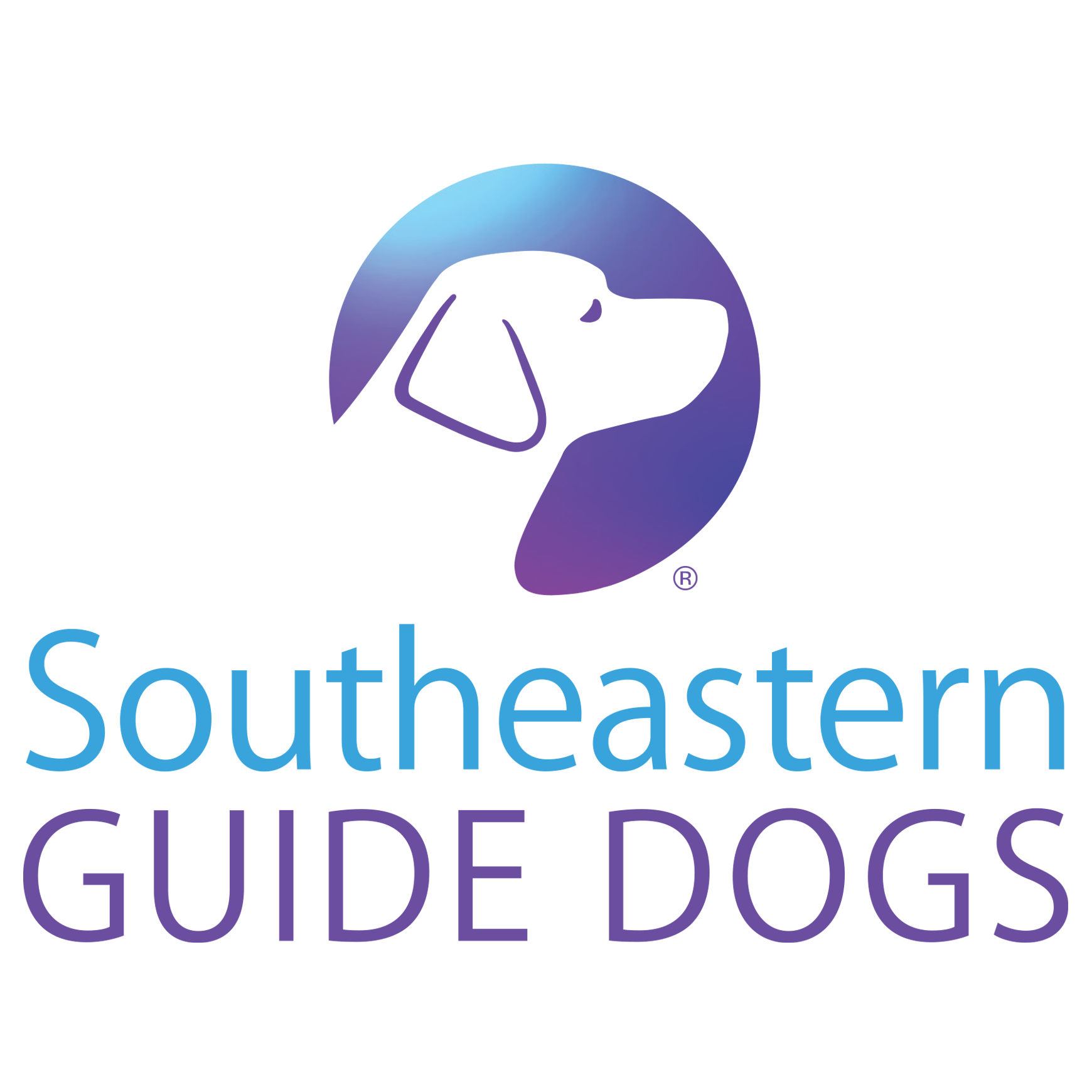 Game Day in the Life of Bolt  Southeastern Guide Dogs 