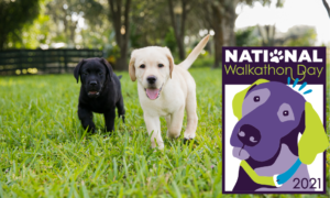Two puppies run towards camera and National Walkathon Day icon is to the right