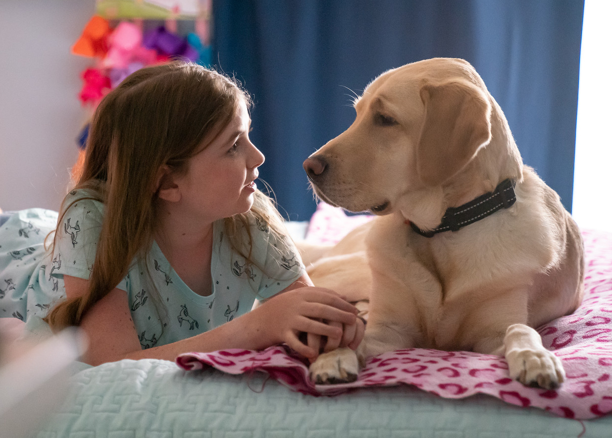 Young girl and dog lay on bed looking at each other