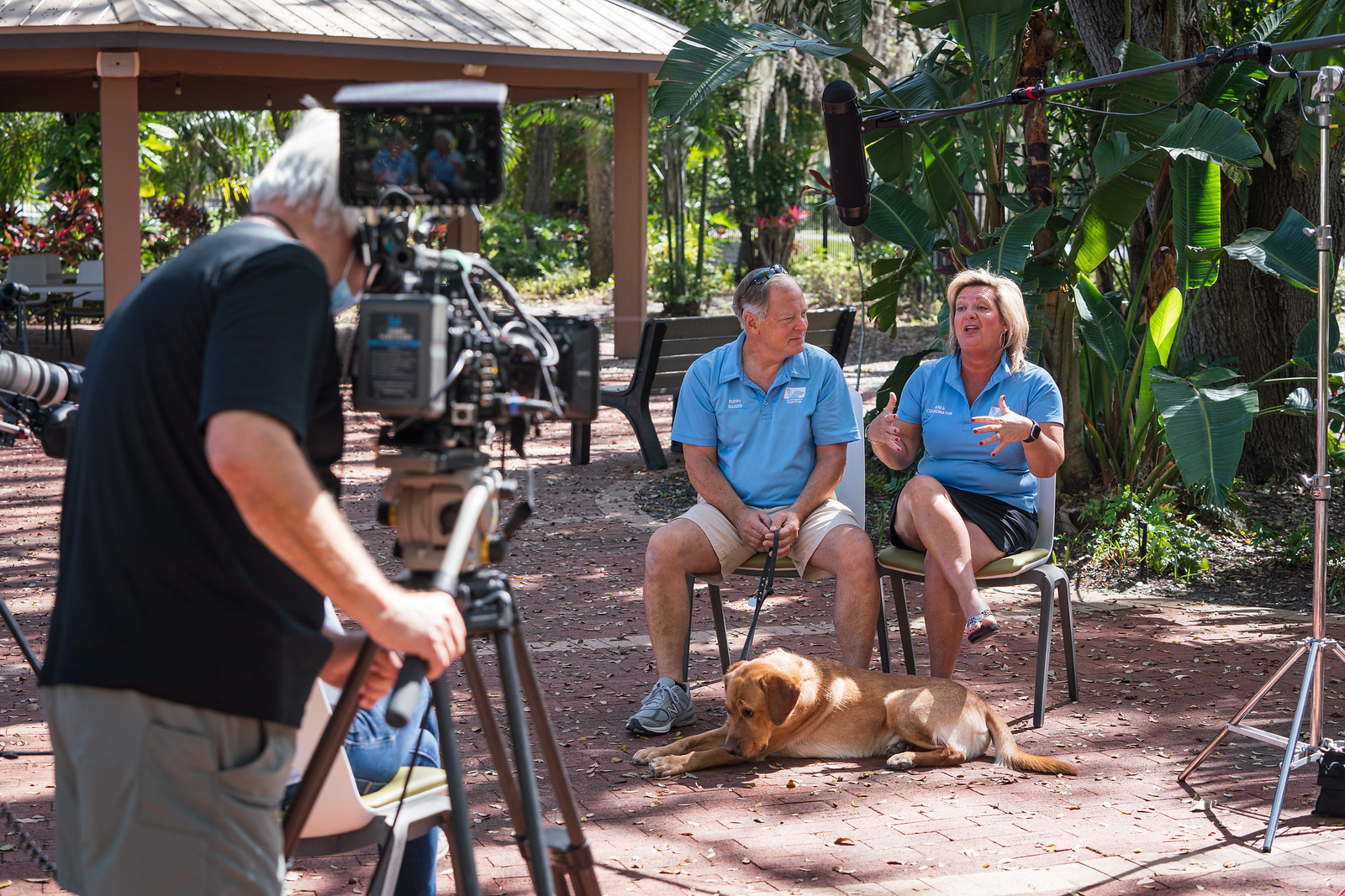 cameraman with camera faces two people with dog