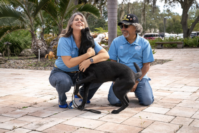 A black lab kisses a women as the man sits on the ground smiling at the two of them