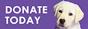 purple button reads donate today