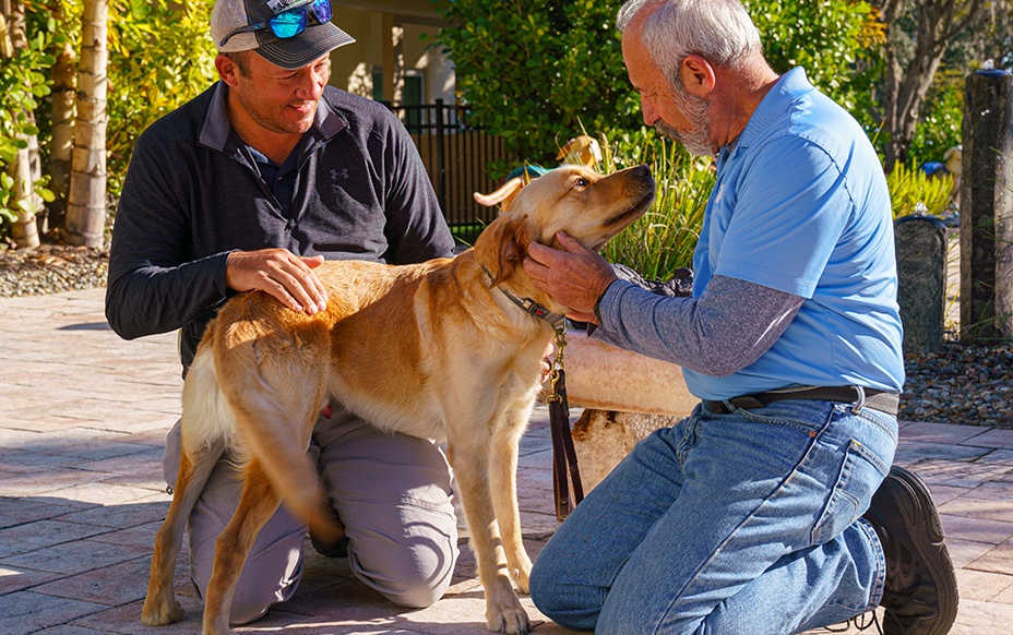 Two men kneel on the ground petting and giving kisses to a yellow lab as they reunite for the first time since the dog came in for training