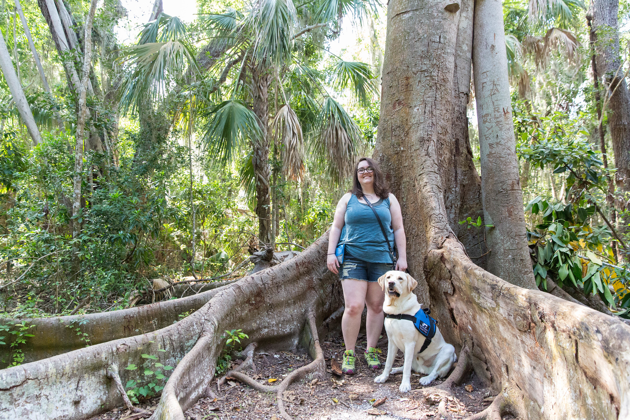 A young woman and her yellow Lab at the base of a banyan tree