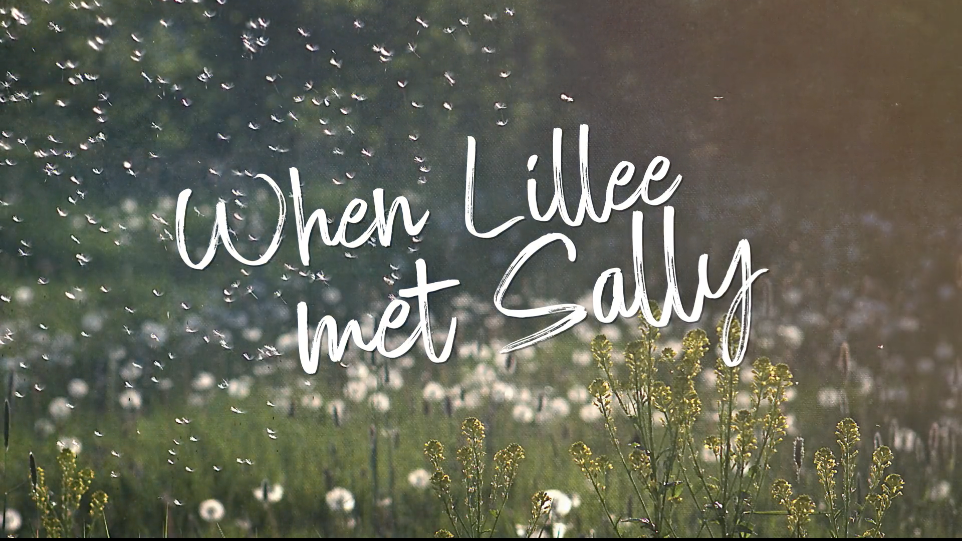 Text: When Lillee met Sally, pictured with a field of dandelions