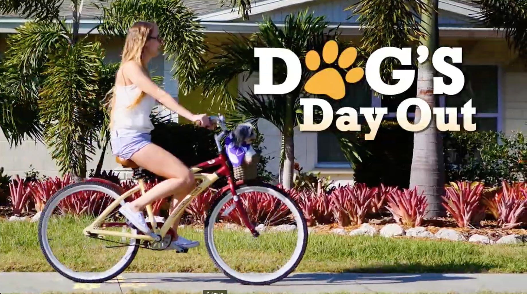 A title screen from the Dog's Day Out 2022 introduction video for Walkathon 2022.