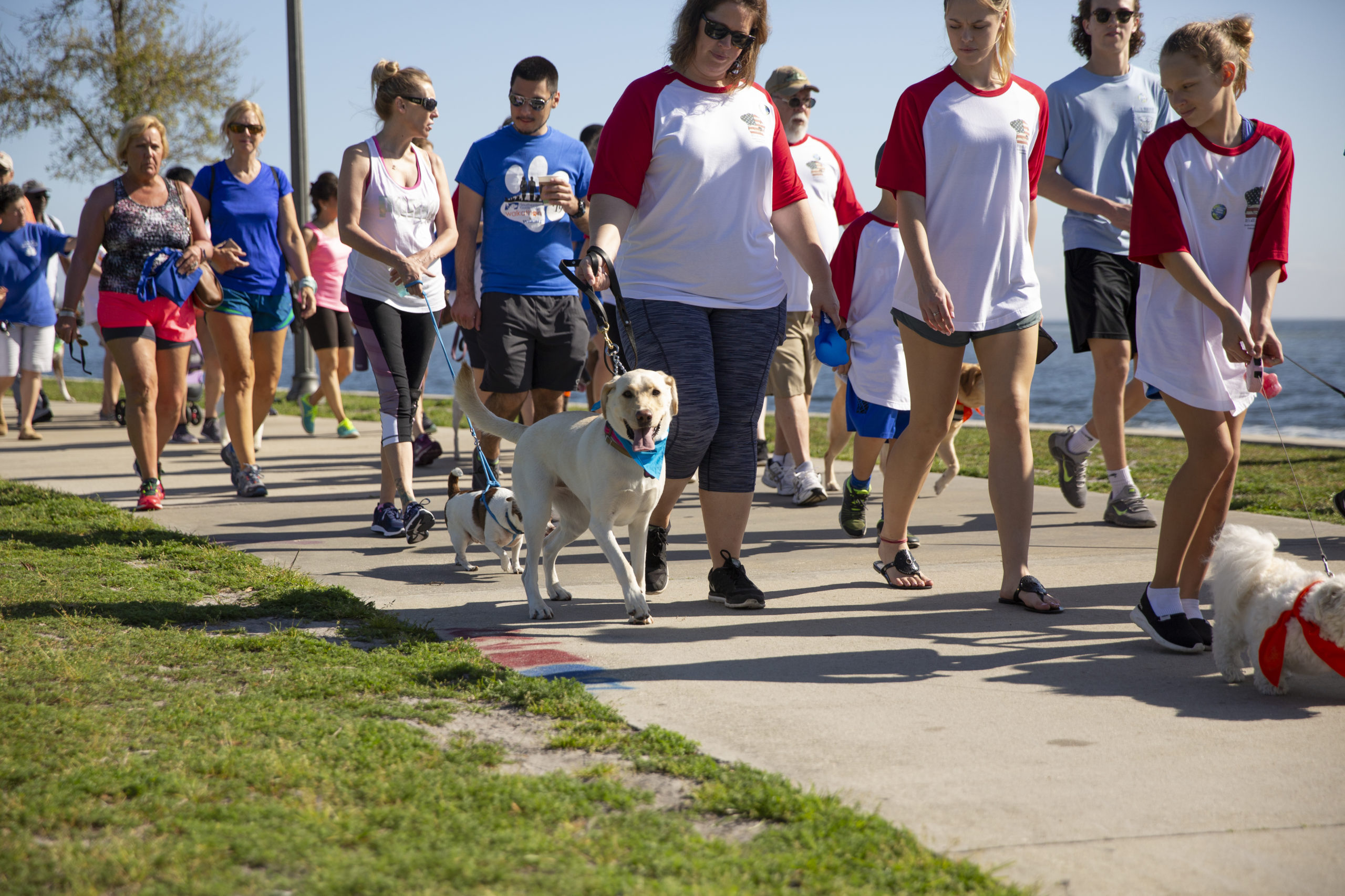 A group of people walking dogs near the riverfront