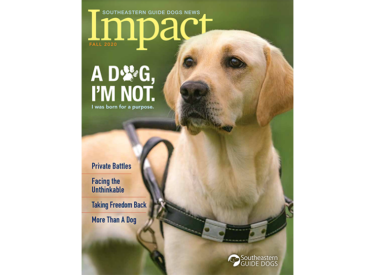 Impact Magazine Cover | Fall 2020