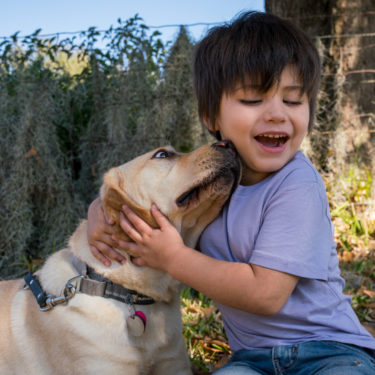 Junie and Kids Companion Dog Merlot