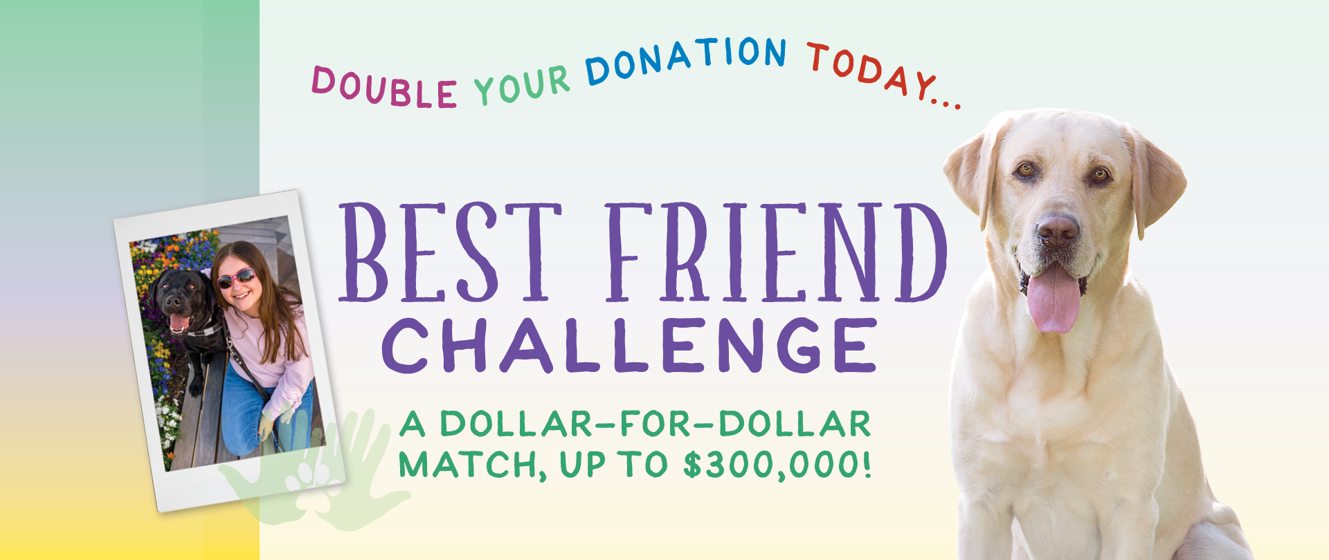 A header image promoting the Best Friends Challenge.
