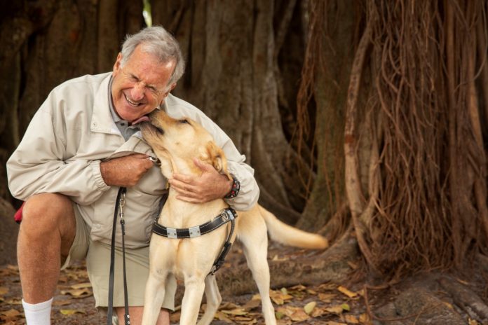 The title image from a "Lifestyles After 50" web article entitled "Southeastern Guide Dogs: Life-Changing Furever Friends"