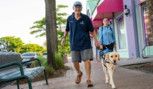 Photo of Alan Frost walking down the street with his guide dog Chloe