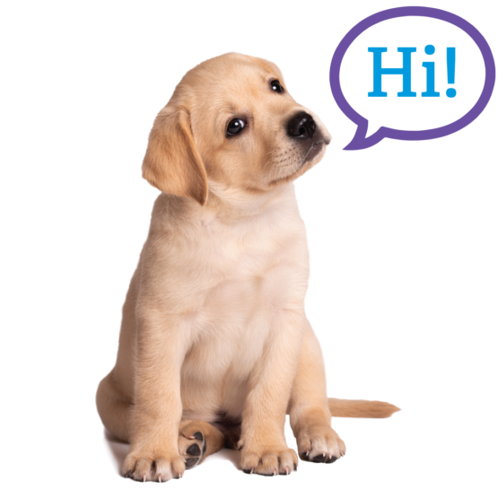 A small yellow lab sits and tilts its head off to the left. A purple speech bubble comes from its mouth with the text, "Hi!"