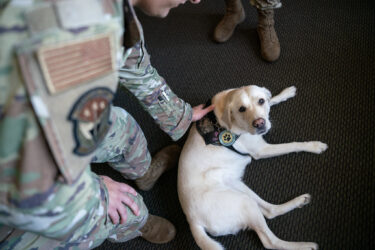 A photo of a soldier petting Facility Therapy Dog Pella