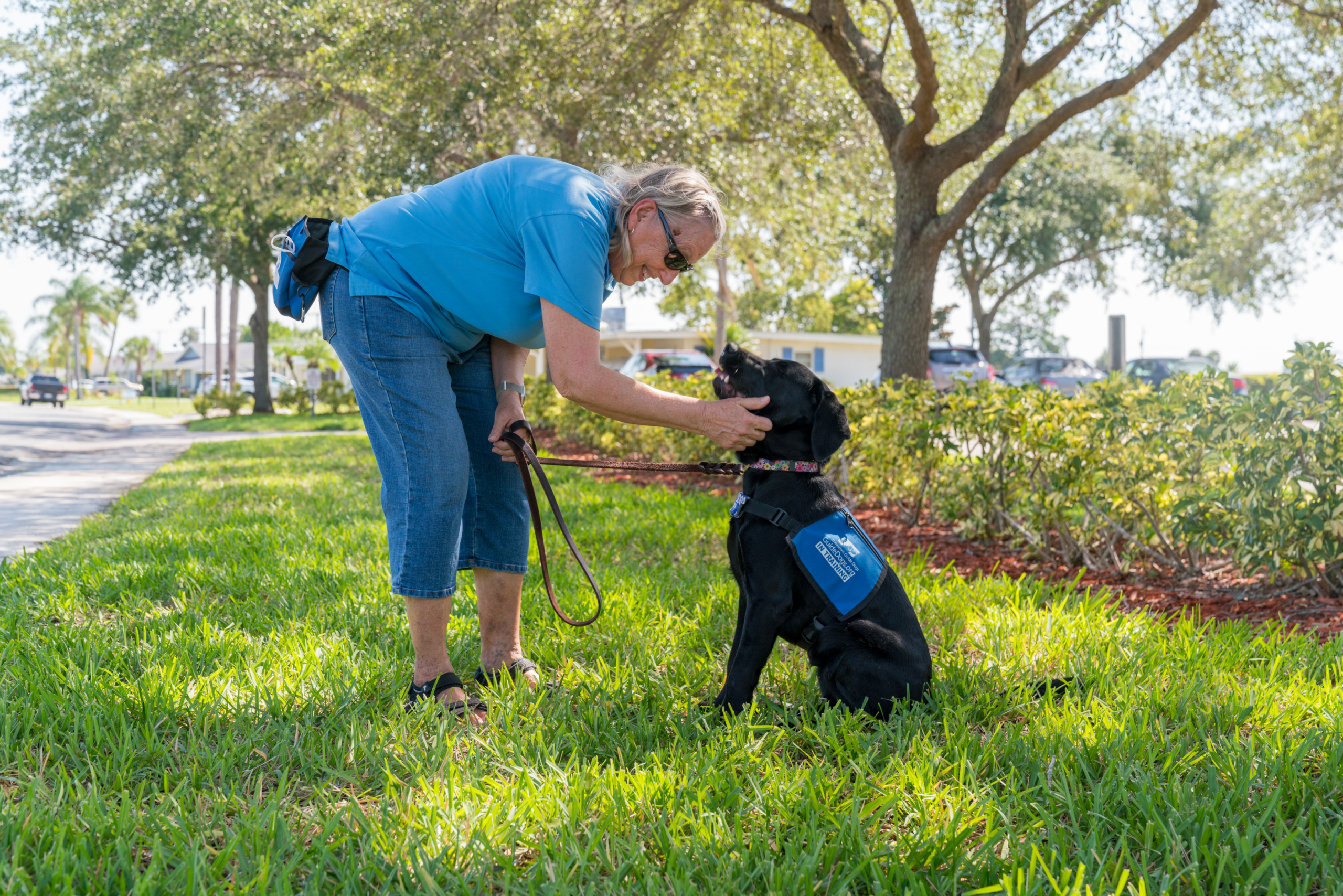 A woman leans down and pets a black lab puppy