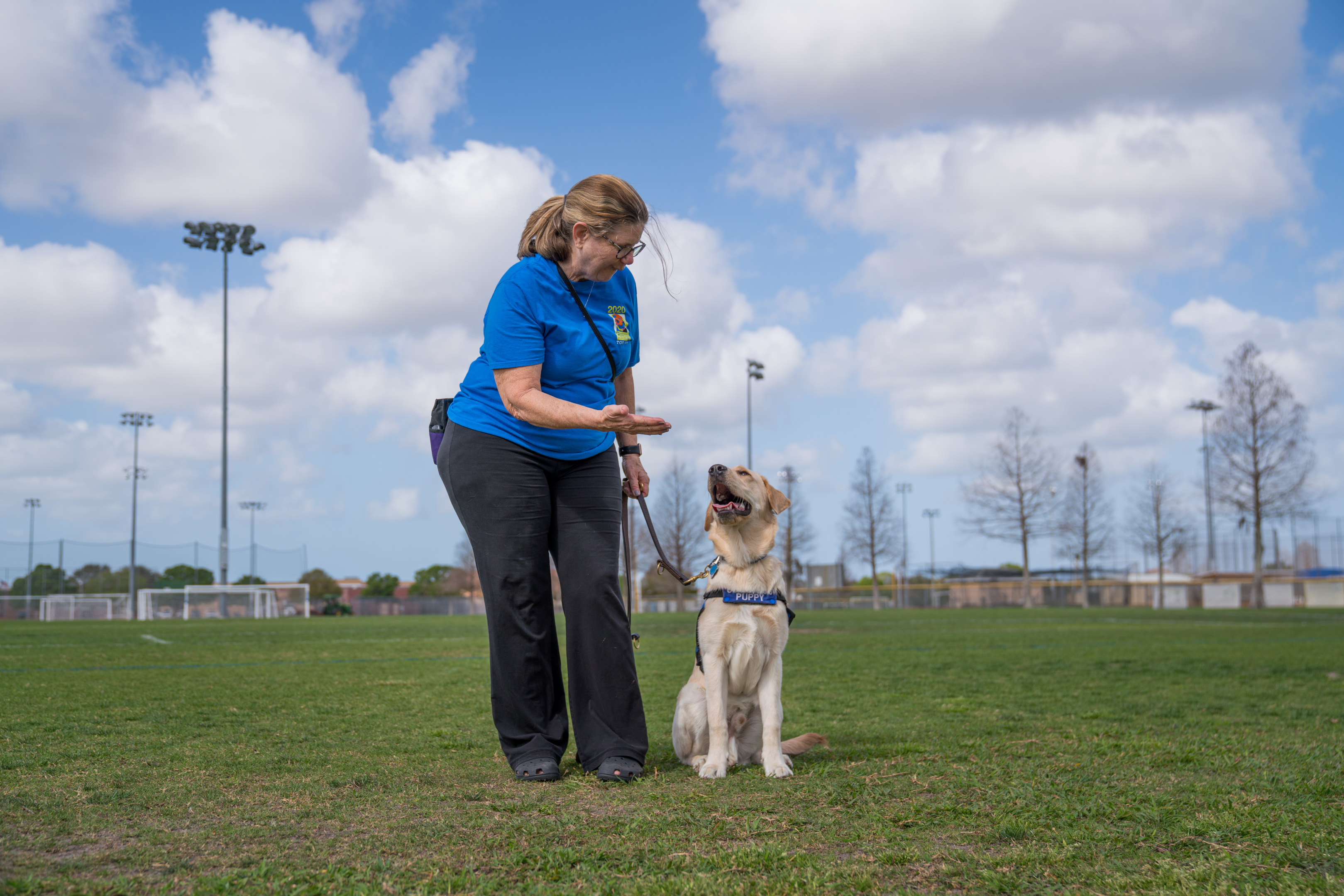 A yellow lab guide dog puppy in training sits as the handler shows him the hand cue for sit