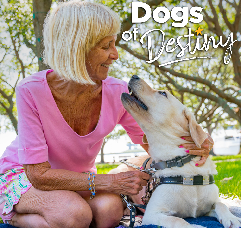 Dogs of Destiny Thumbnail | Karen & Lucas