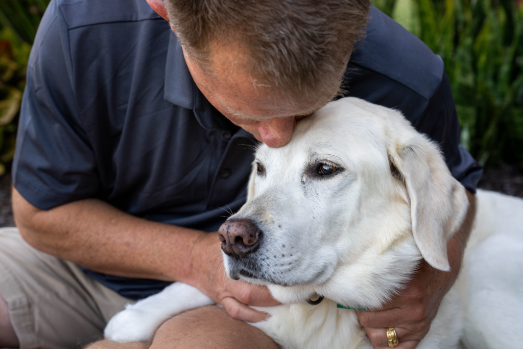A man leans down to give his retired yellow Labrador guide dog a kiss on the head.