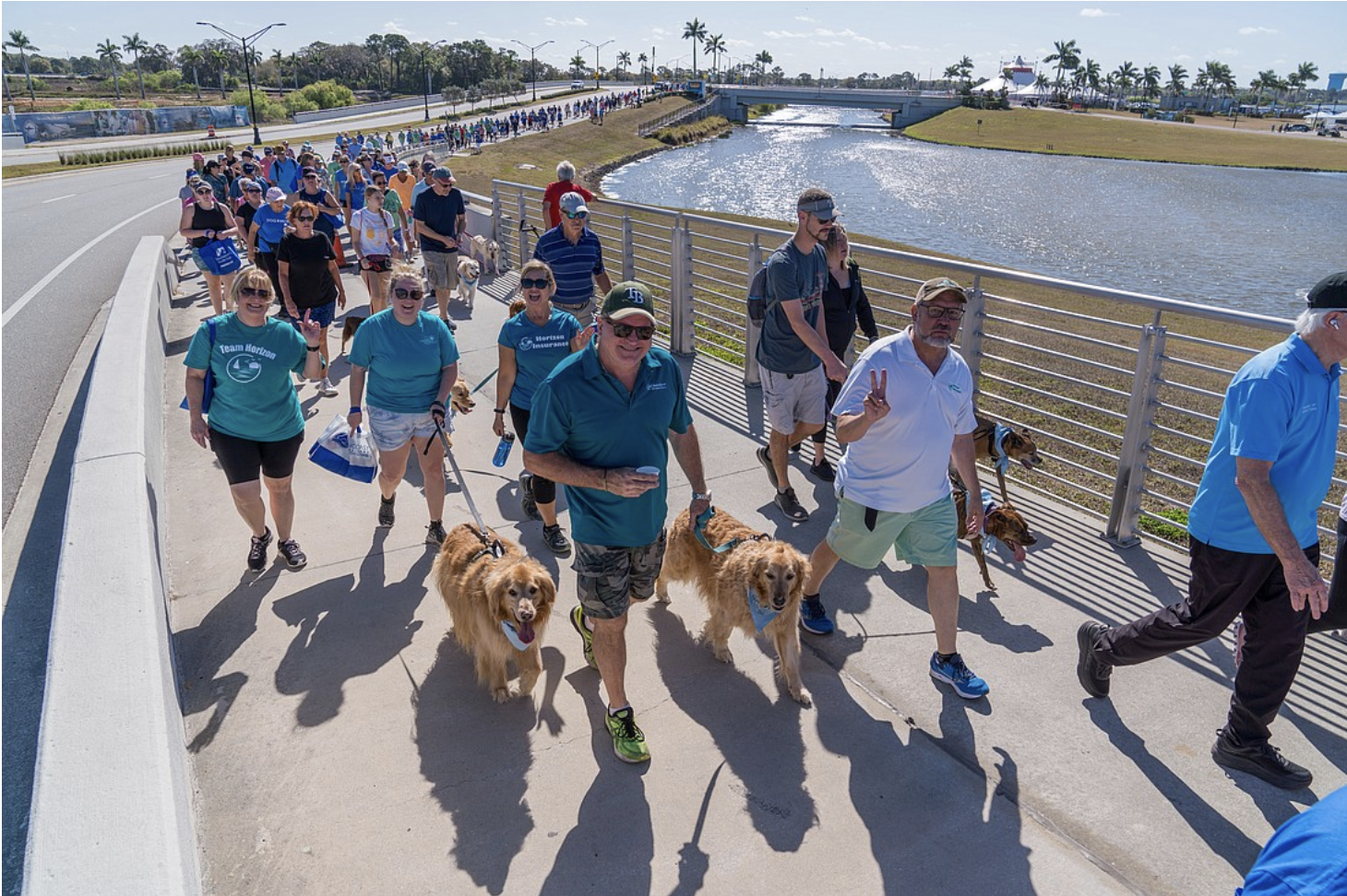 A group of individuals walk with their dogs together and wave to the camera at a fundraiser event.
