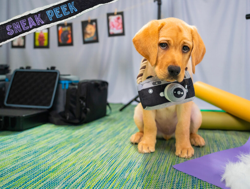 A yellow Labrador puppy sits with a toy camera and a "Sneak Peek" banner is on the top left.