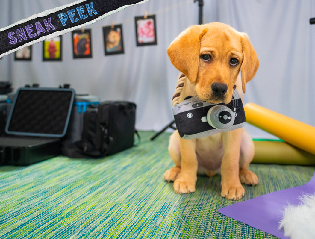 A yellow Labrador puppy sits with a toy camera with a "Sneak Peek" banner.